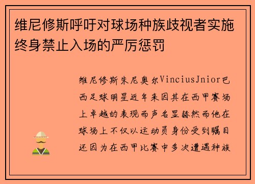 维尼修斯呼吁对球场种族歧视者实施终身禁止入场的严厉惩罚