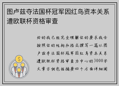 图卢兹夺法国杯冠军因红鸟资本关系遭欧联杯资格审查