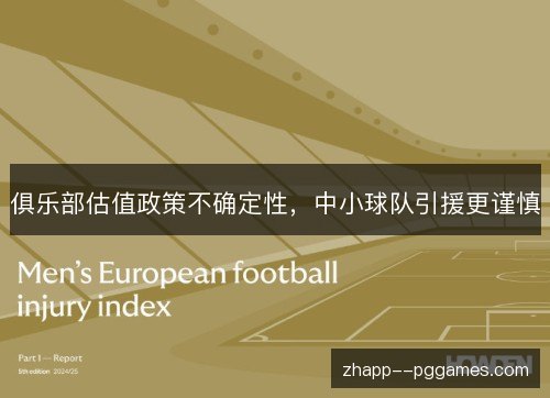 俱乐部估值政策不确定性,中小球队引援更谨慎 俱乐部估值政策不确定性,中小球队引援更谨慎